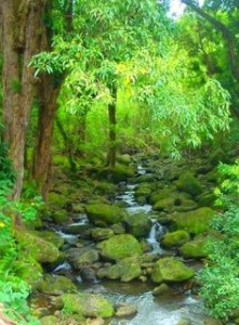 1d455767302ace77b4d9eac2a9c3c65c