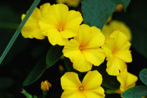 8304990199_f41af8f771_c